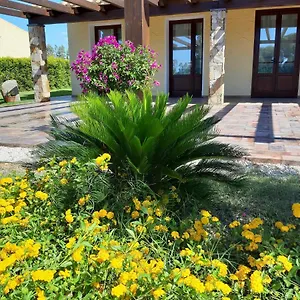 Couette-café Is Solinas, Masainas